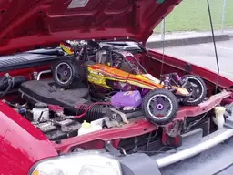 Baja 1.webp