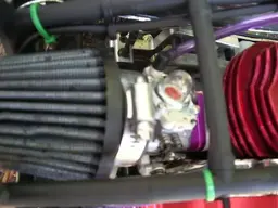 813 carb & filter.webp