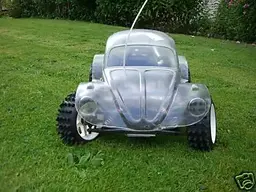 Beetle.webp
