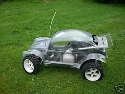Beetle2.webp