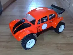 Beetle5.webp