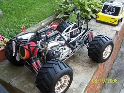 100_1406 (Medium).webp