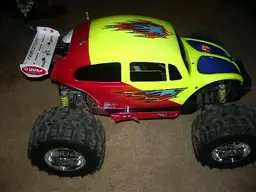 beetle 2.webp