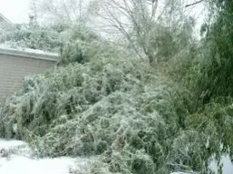 Ice Storm 2.webp