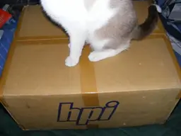 DSCF0001_resize.webp