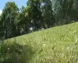 th_mcdbaja.webp