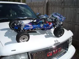 beermanbaja002.webp