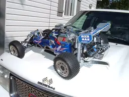 beermanbaja001.webp