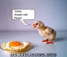 funny_chicken+%25281%2529.webp funny_chicken+%25281%2529.webp