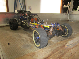 IMG_1265 800.webp