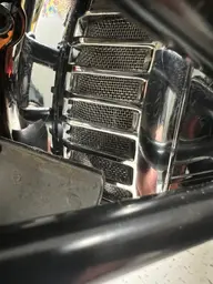 baja carbon 10.webp