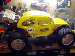 buggy021.webp