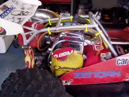 buggy017.webp