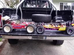 sidebysidebuggys.webp