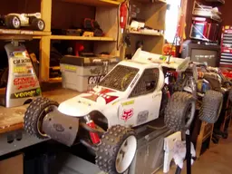 buggy063.webp