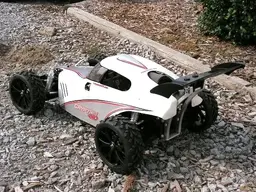 HuraxScottsMonsterBaja078.webp HuraxScottsMonsterBaja078.webp