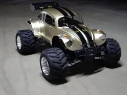 Beetle1.webp