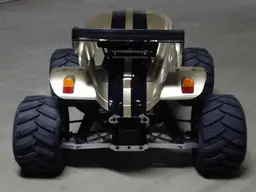 Beetle2.webp