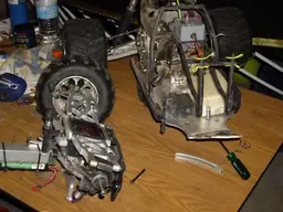 IMGP2167.webp