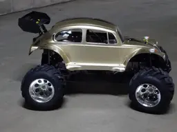 Beetle3.webp