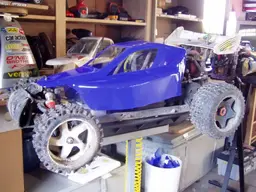 buggy092.webp