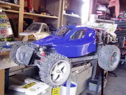 buggy091.webp