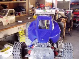 buggy093.webp
