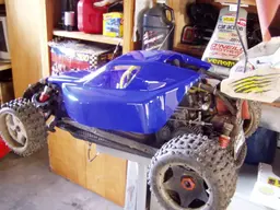 buggy090.webp