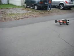 IMGP1603.webp