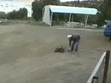 th_Toecutter2ndrun.webp