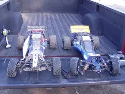 buggy134.webp