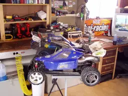 buggy137.webp