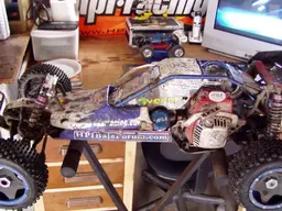 buggy142.webp