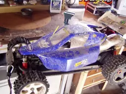 buggy143.webp