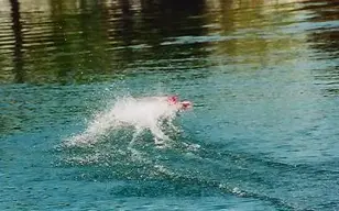 472690818ClOaJw_ph.webp