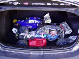 buggy133.webp