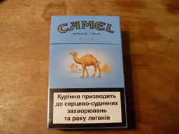 NewCamera380.webp NewCamera380.webp