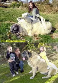 3670.webp