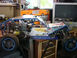 buggy008-1.webp