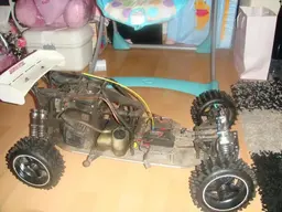 buggy256.webp buggy256.webp