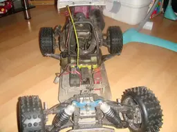 buggy257.webp buggy257.webp
