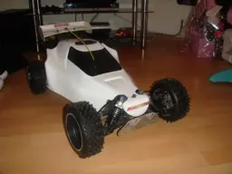 buggy252.webp