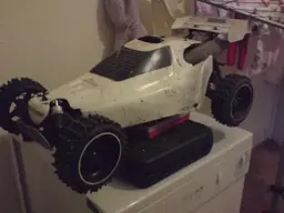 buggy015.webp