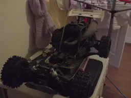 buggy017.webp