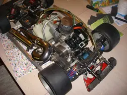 DSCI0004-3.webp