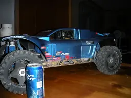 rat004.webp