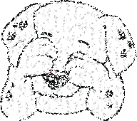 344.gif