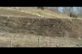 th_DuneRunnerRunDec2709.webp th_DuneRunnerRunDec2709.webp