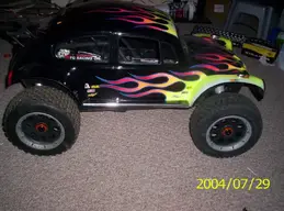 beetle.webp