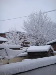DSC02078.webp